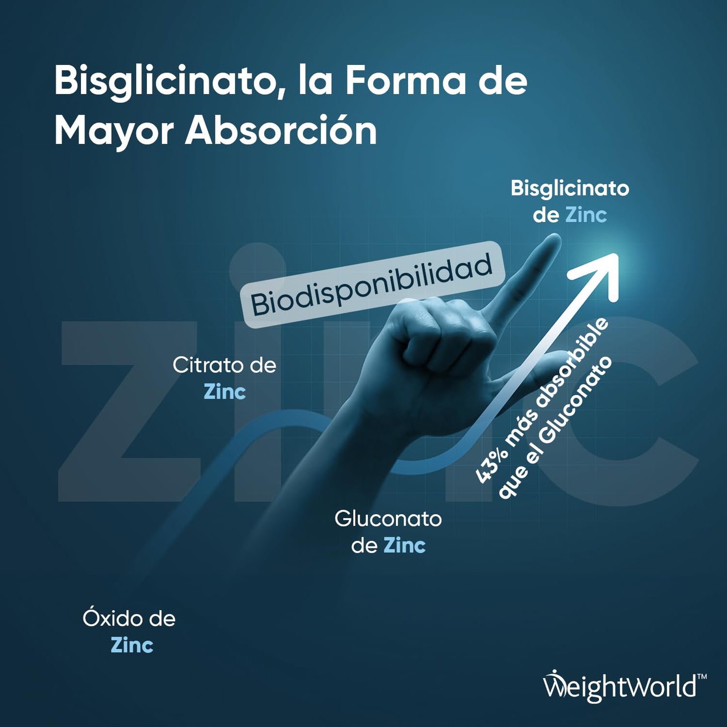 Bisglicinato de Zinc - 400 Comprimidos | Para el Pelo, Piel, Uñas y Reforzar Sistema Inmunológico | Antioxidante Quelado para Hombre y Mujer | +1 Año de Suministro, Vegano, Sin Gluten y Keto