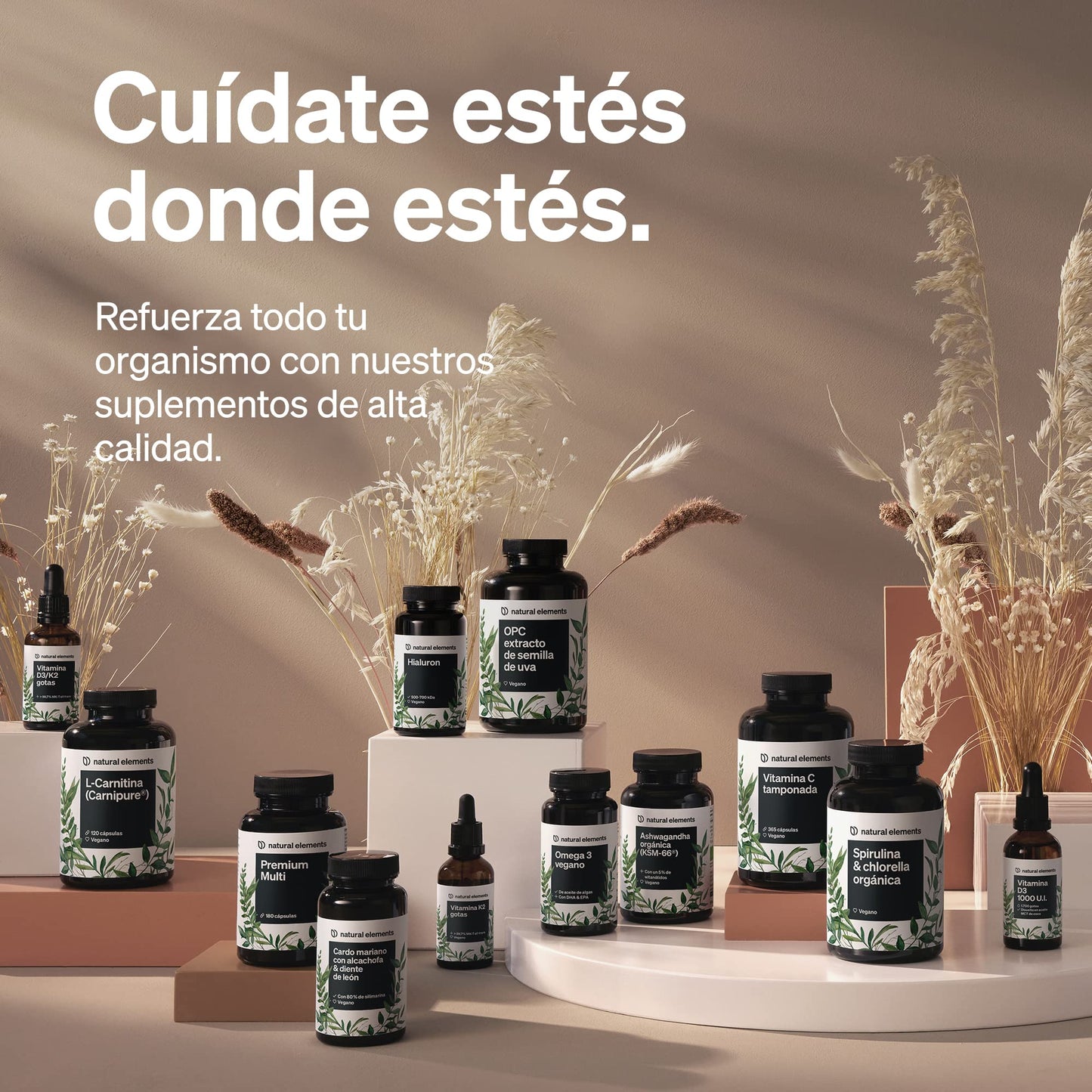 Glicinato de magnesio – 300 mg de magnesio elemental/dosis diaria – suministro para 2 meses con 180 cápsulas – magnesio quelado – inocuo para el estómago, vegano, de alta dosificación