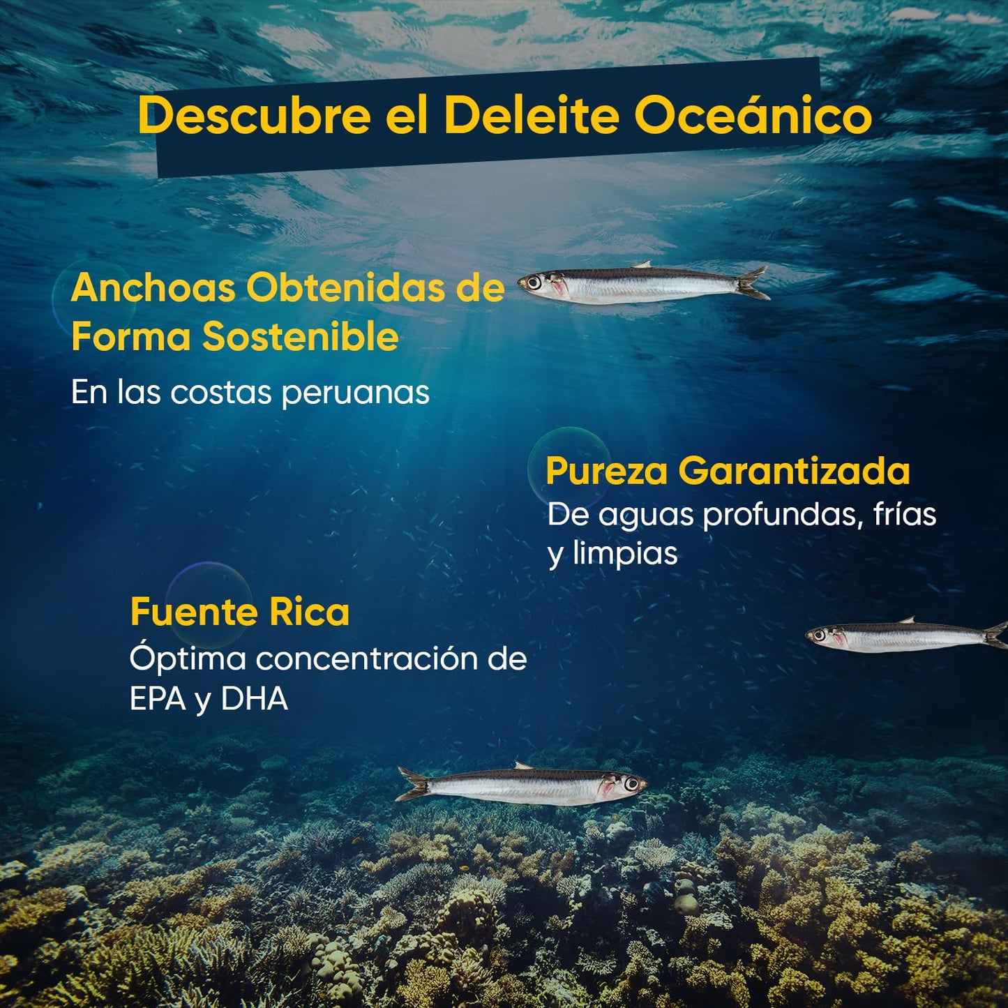 Omega-3 DHA y EPA 1000mg de Concentración 400 Cápsulas Blandas para Más de 1 Año - Ácidos Grasos en Perlas de Aceite de Pescado de Alta Potencia, Contribuye al Funcionamiento Normal del Corazón